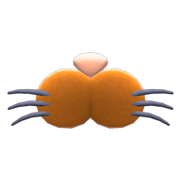 Cat Nose