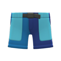 Multicolor Shorts