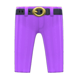 Flashy Slacks