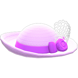 Elegant Hat