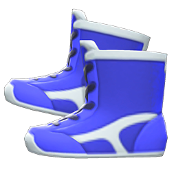 Wrestling Shoes