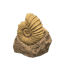 Ammonite