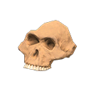 Australopith