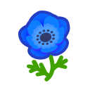 Blue Windflowers