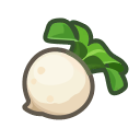 Turnips