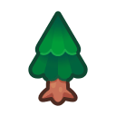 Cedar Tree