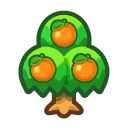 Orange Tree