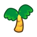 Coconut Tree