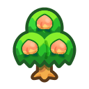 Peach Tree