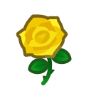 Yellow Roses