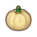 White Pumpkin