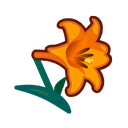 Orange Lilies