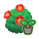 Red-Camellia Start