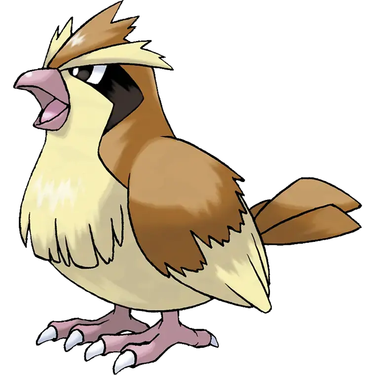 Pidgey