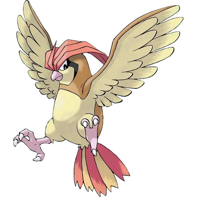 Pidgeotto