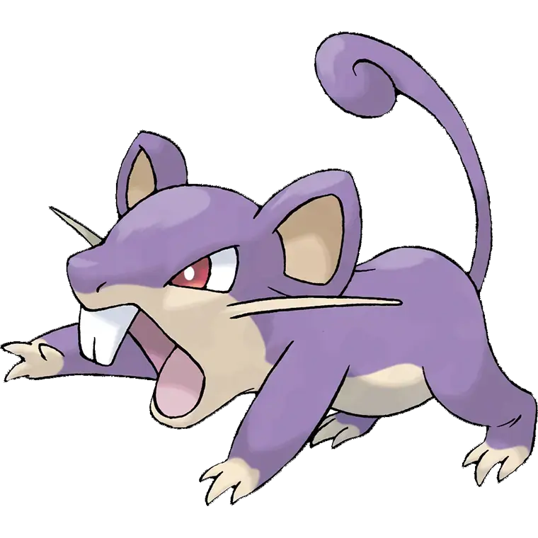 Rattata
