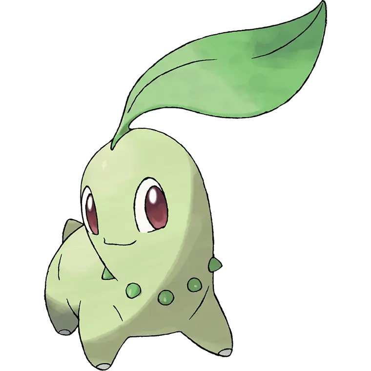 Chikorita