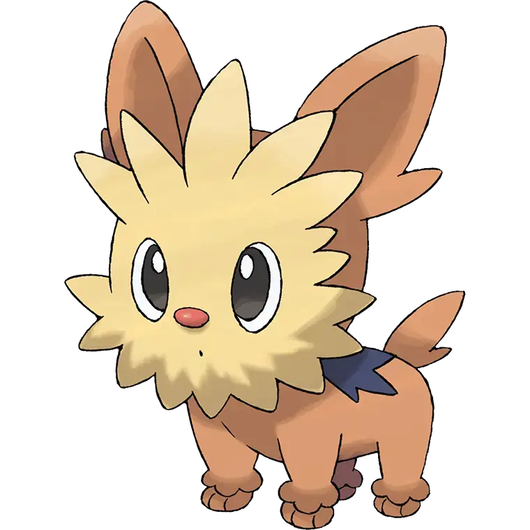 Lillipup