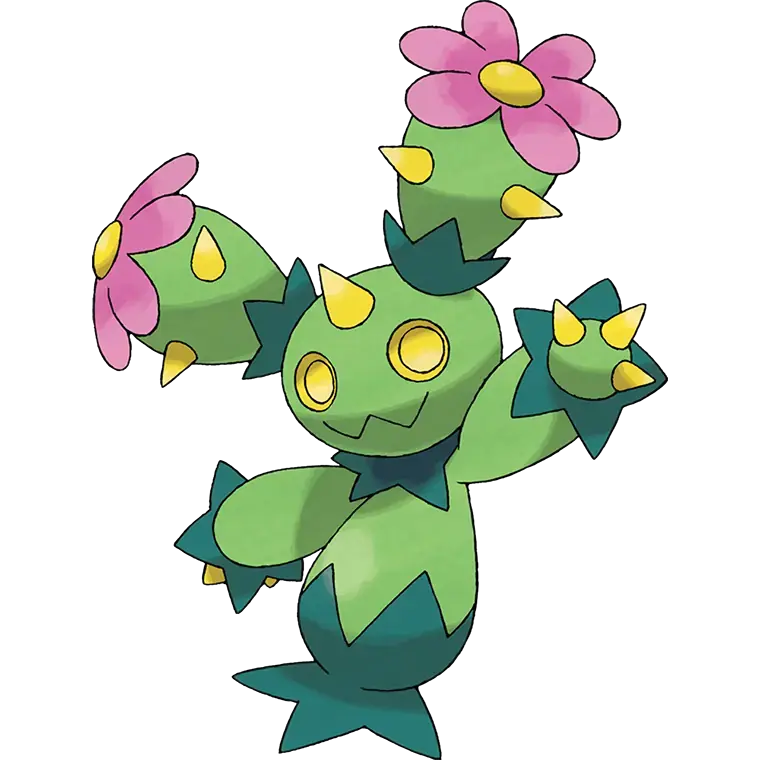 Maractus